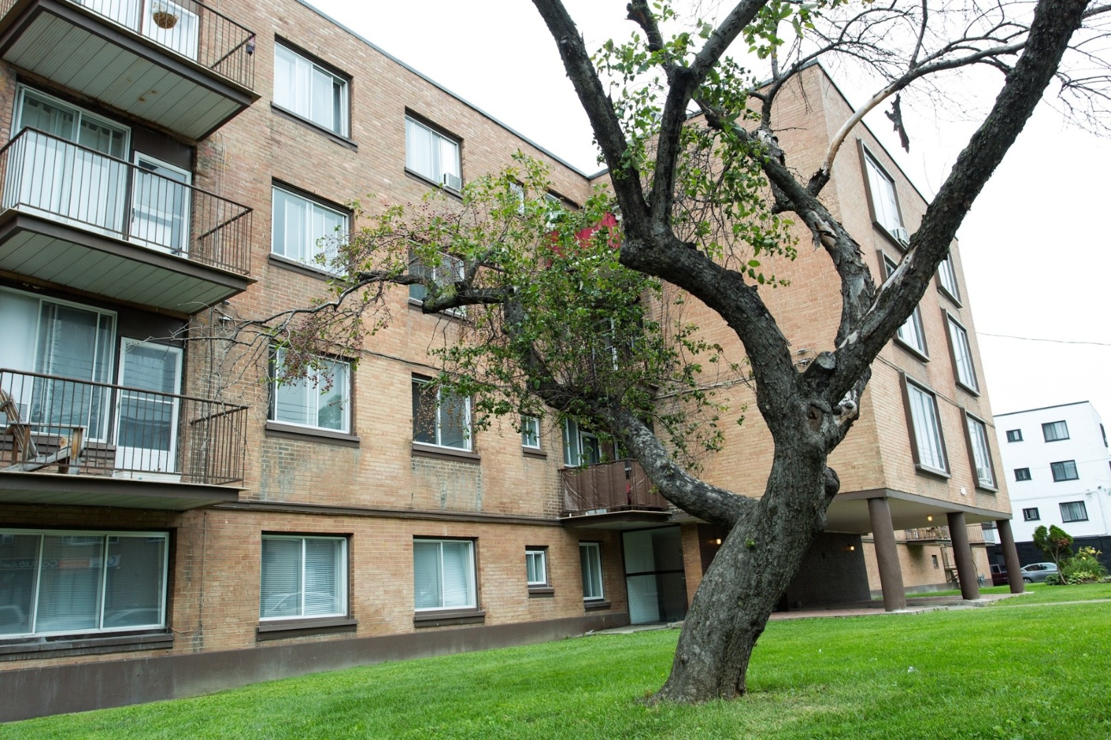 6151 Cote SaintLuc 417 Mayne Holdings Apartments for rent in Montreal